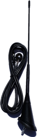 AE2