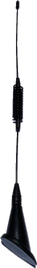 MA342/5